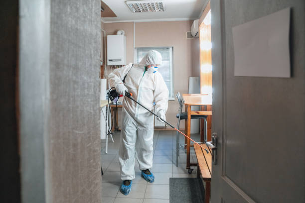 Best Mold Prevention Services  in North Augusta, SC