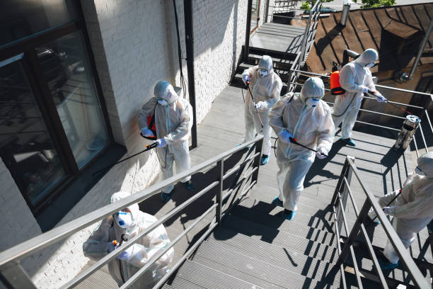 Best Asbestos and Lead Testing During Mold Inspection  in North Augusta, SC