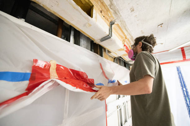  North Augusta, SC Mold Removal Pros