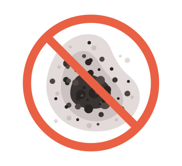 Best Environmental Consulting for Mold Prevention  in North Augusta, SC