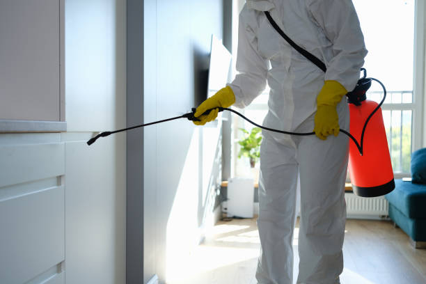 Best Comprehensive Air Testing for Mold Contaminants  in North Augusta, SC
