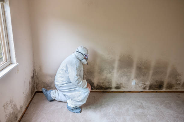 Asbestos and Lead Testing During Mold Inspection in North Augusta, SC