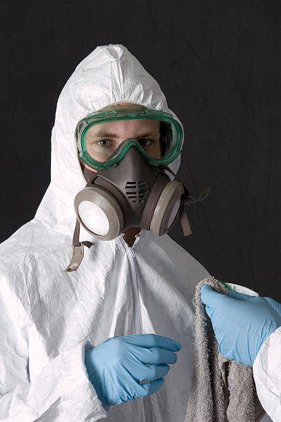 Best Basement Mold Removal  in North Augusta, SC